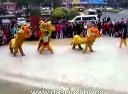 阳江财政局舞狮02